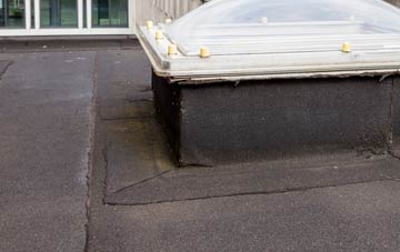 disadvantages of South Elphinstone flat roofs