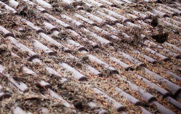 South Elphinstone roof cleaning companies